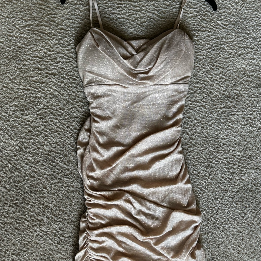 Elegant Shimmering Dress